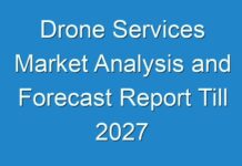 Drone Services Market Analysis and Forecast Report Till 2027