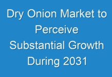 Dry Onion Market to Perceive Substantial Growth During 2031