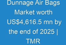 Dunnage Air Bags Market worth US$4,616.5 mn by the end of 2025 | TMR