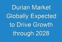 Durian Market Globally Expected to Drive Growth through 2028