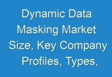 Dynamic Data Masking Market Size, Key Company Profiles, Types, Applications and Forecast To 2025