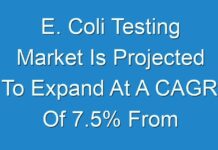 E. Coli Testing Market Is Projected To Expand At A CAGR Of 7.5% From 2019 To 2027