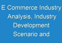 E Commerce Industry Analysis, Industry Development Scenario and Forecast to 2031
