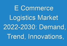 E Commerce Logistics Market 2024-2030: Demand, Trend, Innovations, Applications and Growth