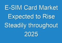 E-SIM Card Market Expected to Rise Steadily throughout 2025