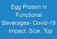 Egg Protein in Functional Beverages- Covid-19 Impact, Size, Top Companies, Trends, Growth Factors Details for Business Development and Forecasts to 2029