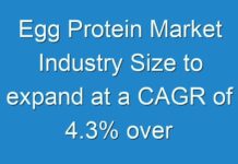 Egg Protein Market Industry Size to expand at a CAGR of 4.3% over 2018-2026 as bakery industry develops, finds TMR