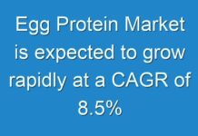 Egg Protein Market is expected to grow rapidly at a CAGR of 8.5%