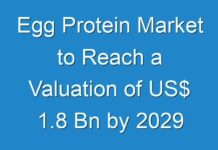 Egg Protein Market to Reach a Valuation of US$ 1.8 Bn by 2029