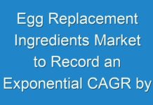 Egg Replacement Ingredients Market to Record an Exponential CAGR by 2031