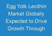 Egg Yolk Lecithin Market Globally Expected to Drive Growth Through 2029