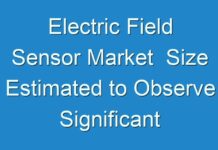 Electric Field Sensor Market Size Estimated to Observe Significant Growth by 2031