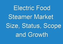Electric Food Steamer Market Size, Status, Scope and Growth Prospects 2024-2031
