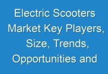 Electric Scooters Market Key Players, Size, Trends, Opportunities and growth Analysis