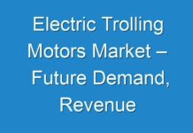 Electric Trolling Motors Market – Future Demand, Revenue Expectation, Project Economics, COVID-19 Market Scenario, Explosive Growth Opportunity, Prominent Players