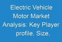 Electric Vehicle Motor Market Analysis: Key Player profile, Size, Share, Trends, Demand and Regional Outlook by 2024- TMR