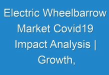Electric Wheelbarrow Market Covid19 Impact Analysis | Growth, Revenue, Trends and Forecasts 2030