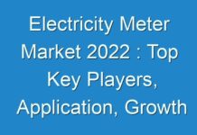 Electricity Meter Market 2024 : Top Key Players, Application, Growth Analysis And Forecasts To 2030