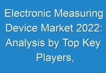 Electronic Measuring Device Market 2024: Analysis by Top Key Players, Current Industry Status, Growth Opportunities, Target Audience and Forecast to 2031