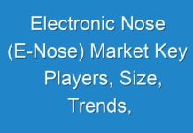 Electronic Nose (E-Nose) Market Key Players, Size, Trends, Opportunities and growth Analysis