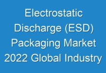 Electrostatic Discharge (ESD) Packaging Market 2024 Global Industry Growth and Key Manufacturers, Top Countries Data, Analysis Report 2030