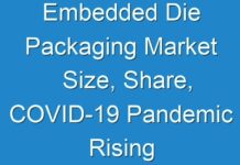 Embedded Die Packaging Market Size, Share, COVID-19 Pandemic Rising Demand and Worldwide Key Competitors Growth Report 2024 – 2027