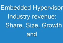 Embedded Hypervisor Industry revenue: Share, Size, Growth and Forecast Illuminated By New Report 2019 – 2028