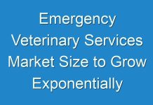 Emergency Veterinary Services Market Size to Grow Exponentially during the Assessment Period 2016 – 2024