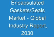 Encapsulated Gaskets/Seals Market – Global Industry Report, 2030
