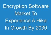 Encryption Software Market To Experience A Hike In Growth By 2030