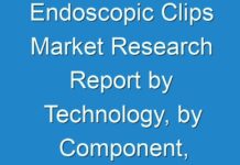Endoscopic Clips Market Research Report by Technology, by Component, by Deployment Mode, by Application, by Vertical – Global Forecast to 2030 – Cumulative Impact of COVID-19 Market