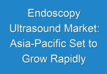 Endoscopy Ultrasound Market: Asia-Pacific Set to Grow Rapidly Forecast 2024 to 2026