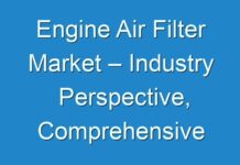 Engine Air Filter Market – Industry Perspective, Comprehensive Analysis, Size, Share, Growth, Segment, Trends and Forecast to 2024