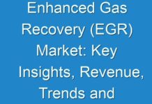 Enhanced Gas Recovery (EGR) Market: Key Insights, Revenue, Trends and Driving Opportunities