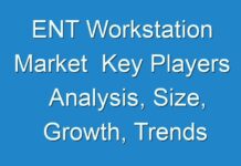 ENT Workstation Market Key Players Analysis, Size, Growth, Trends and Forecast up to 2028