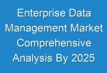 Enterprise Data Management Market Comprehensive Analysis By 2025