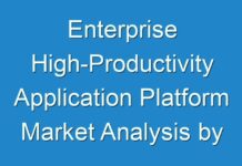 Enterprise High-Productivity Application Platform Market Analysis by 2030
