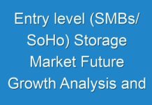 Entry level (SMBs/ SoHo) Storage Market Future Growth Analysis and Forecast to 2026