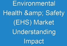 Environmental Health & Safety (EHS) Market Understanding Impact of COVID-19 Estimated To Be Experienced 2019 – 2027