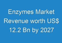 Enzymes Market Revenue worth US$ 12.2 Bn by 2027