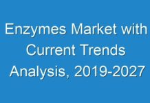 Enzymes Market with Current Trends Analysis, 2019-2027