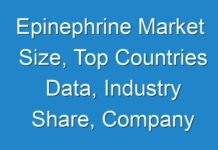 Epinephrine Market Size, Top Countries Data, Industry Share, Company Overview, Industrial Statistics, Regional Economy, Development and Forecast to 2027