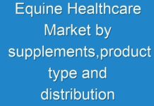 Equine Healthcare Market by supplements,product type and distribution channel with Global Industry Perspective, Comprehensive Analysis And Forecast
