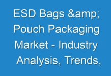 ESD Bags & Pouch Packaging Market – Industry Analysis, Trends, Forecast 2024, as COVID-19 Pandemic Continues to Expand Quickly