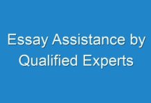 Essay Assistance by Qualified Experts