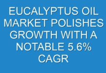 EUCALYPTUS OIL MARKET POLISHES GROWTH WITH A NOTABLE 5.6% CAGR