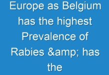 Europe as Belgium has the highest Prevalence of Rabies & has the highest healthcare expenditure 2018 to 2026