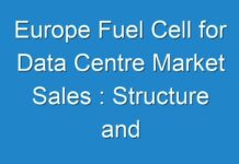 Europe Fuel Cell for Data Centre Market Sales : Structure and Overview of Key Market Forces Propelling Market 2024-2030