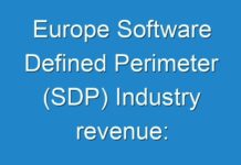 Europe Software Defined Perimeter (SDP) Industry revenue: Technological Advancements Expected To Boost Revenue Growth 2024-2030