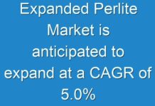 Expanded Perlite Market is anticipated to expand at a CAGR of 5.0%